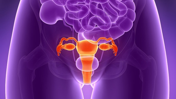 子宫内膜过厚会怎么样子宫内膜增生会发生癌变