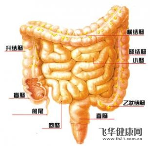 结肠癌疼痛的症状轻中与病情有关系吗