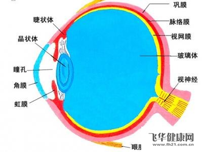 视网膜脱落之后能治好吗