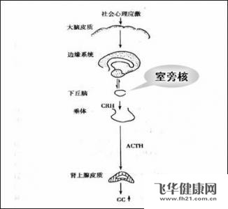 如何治小儿肾上腺皮质与髓质增生并存综合征