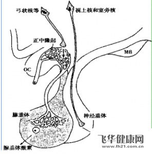 怎样治疗肾上腺皮质功能减退症