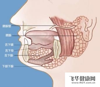 如何治疗急性化脓性腮腺炎复发啊