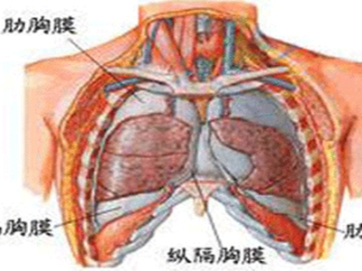 胸膜炎有哪些诊断指标呢