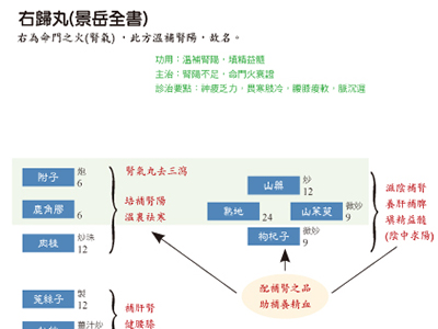 细数右归丸的功效和作用