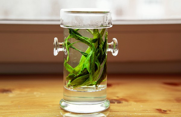 骨髓纤维化能喝茶吗