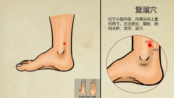 中医推荐秋季的补血食谱