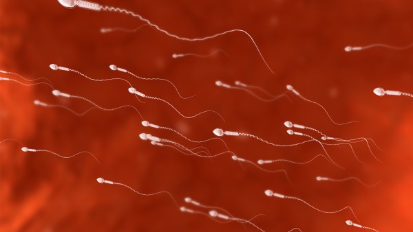 精子活力低可以要小孩吗