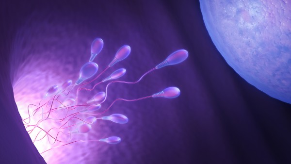 精子活力低时高时低