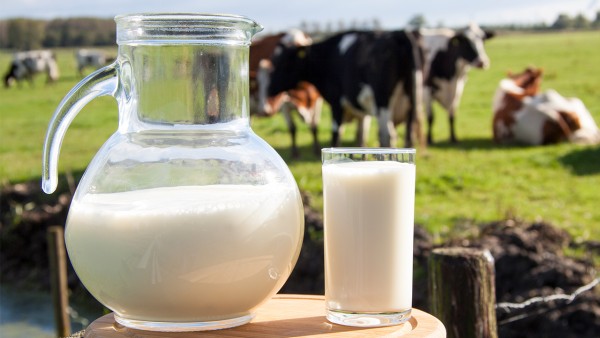 牛奶的功效作用都是什么呢
