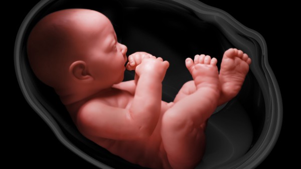 胎儿一般多大有胎动