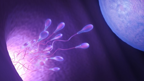导致男性精子不液化是什么原因