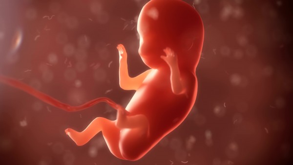 注意，孕期出现这4种情说明胎儿有危险，赶快上医院！