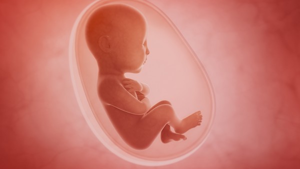 胎儿偏小几周属于正常