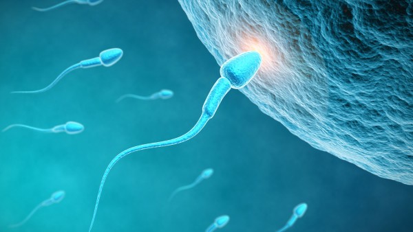 生活是怎么让男性的精子受损的