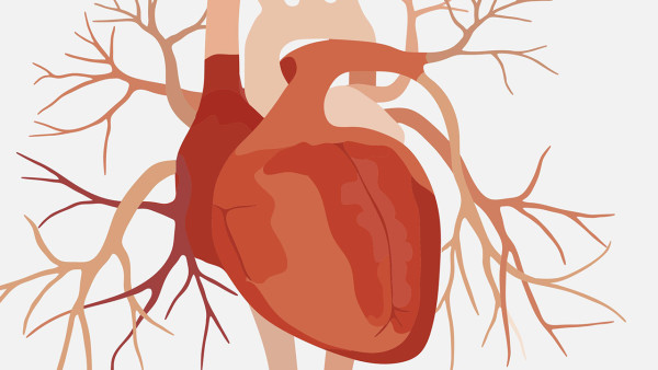 有先天性心脏病的人平均寿命有多少