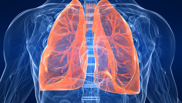 肺结核是什么引起的呢