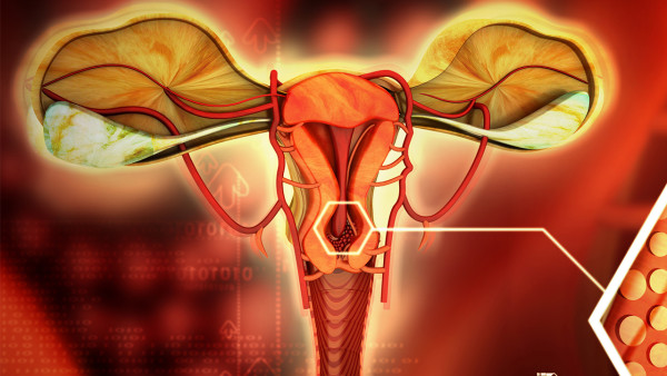 卵巢囊肿怎么检测