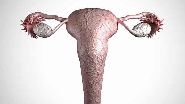 患有卵巢囊肿是否影响寿命