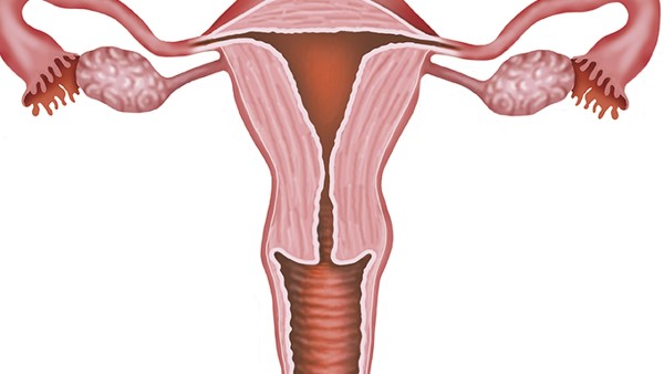 卵巢囊肿如何剥离
