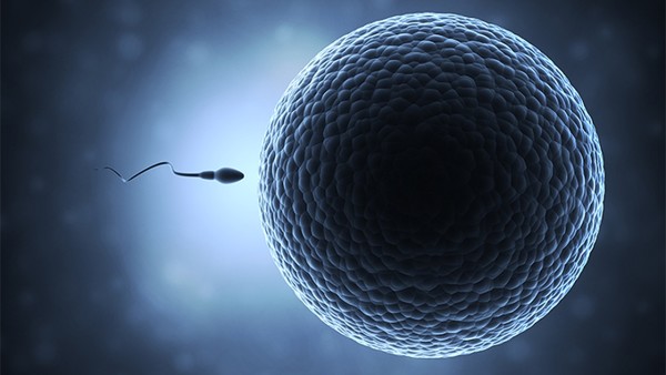 少精症患者做精液分析异常情况的意义