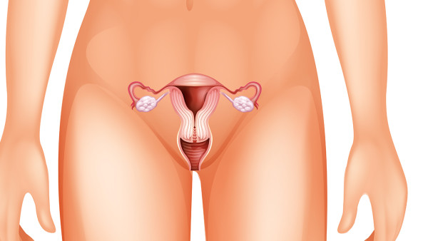 多囊卵巢综合症的特征有哪些
