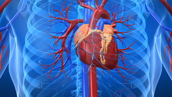 心肌缺血心肌酶检测可以诊断吗