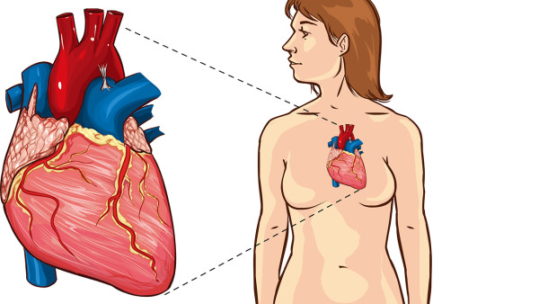 心律失常患者测脉搏如何保证准确性?