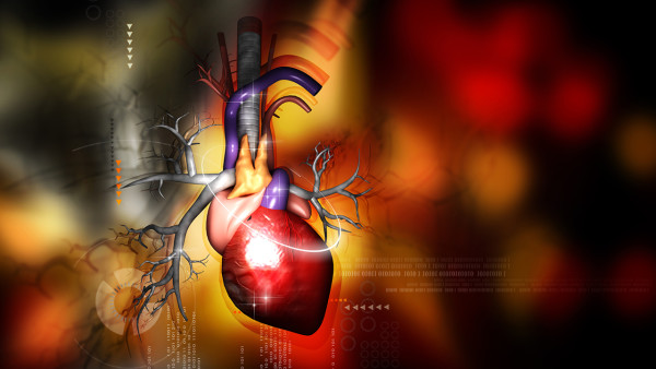 心肌炎是什么病呢