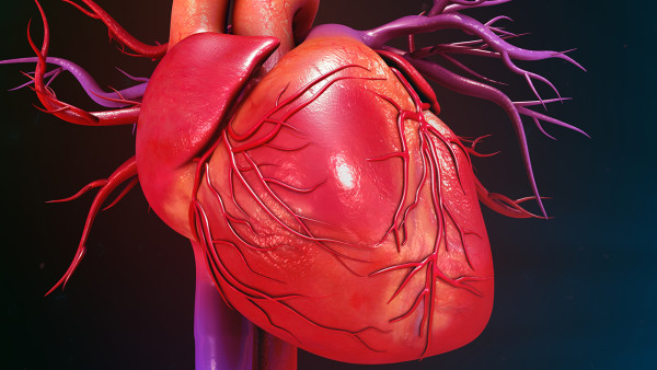 心肌缺血危害性是什么