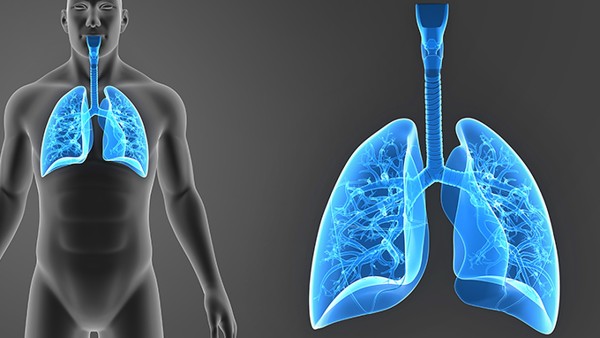 怎样预防肺纤维化