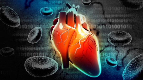 先天性心脏病需要如何来预防