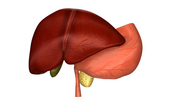 肝血管瘤是什么病