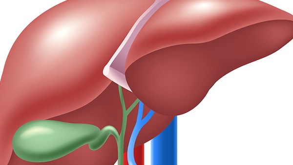 肝血管瘤的症状表现是什么