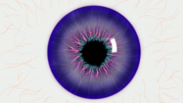 视网膜脱落如何检查出来