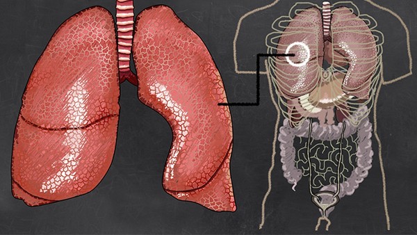 如何判断甲状腺癌恶变呢