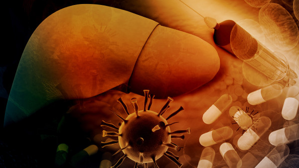 甲型肝炎病毒具有哪些特点