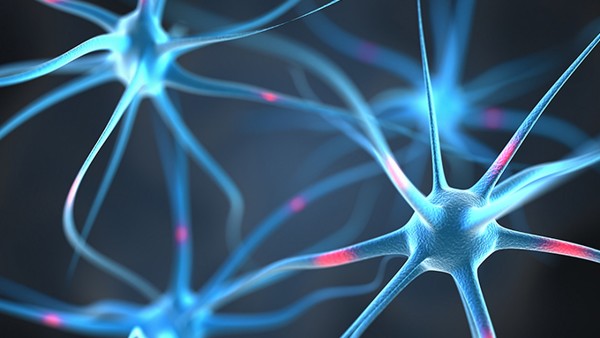 尖锐湿疣早期症状网