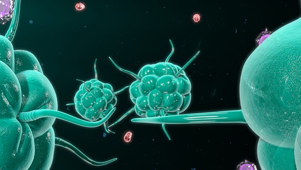 教您认识尖锐湿疣潜伏期