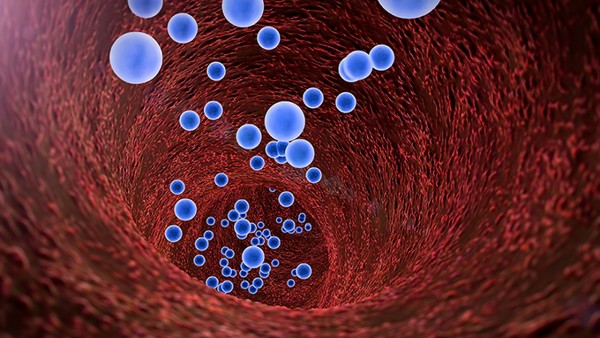 尖锐湿疣饮食注意哪些食物