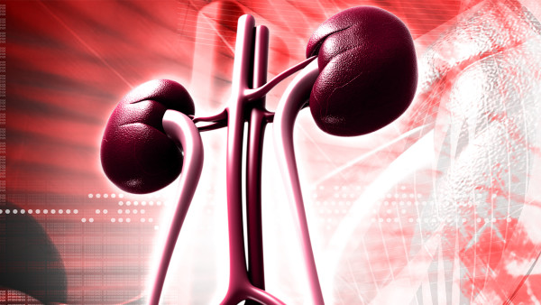 肾囊肿一般怎么治疗呢