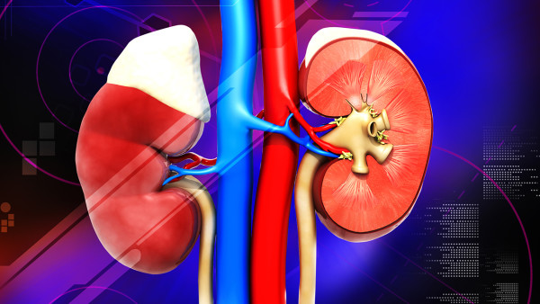 肾囊肿的症状是怎样的