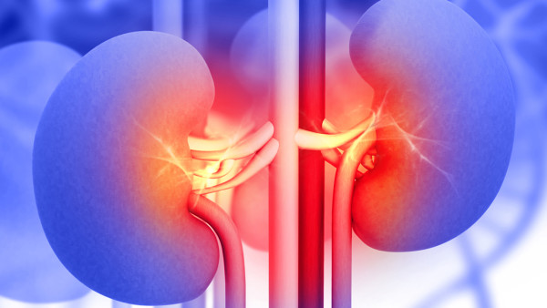 血透对于糖尿病肾病患者的影响不可忽视