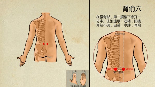 患IGA肾病能不能根治