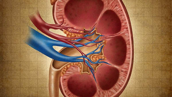 肾病综合症患者的饮食要怎么做!