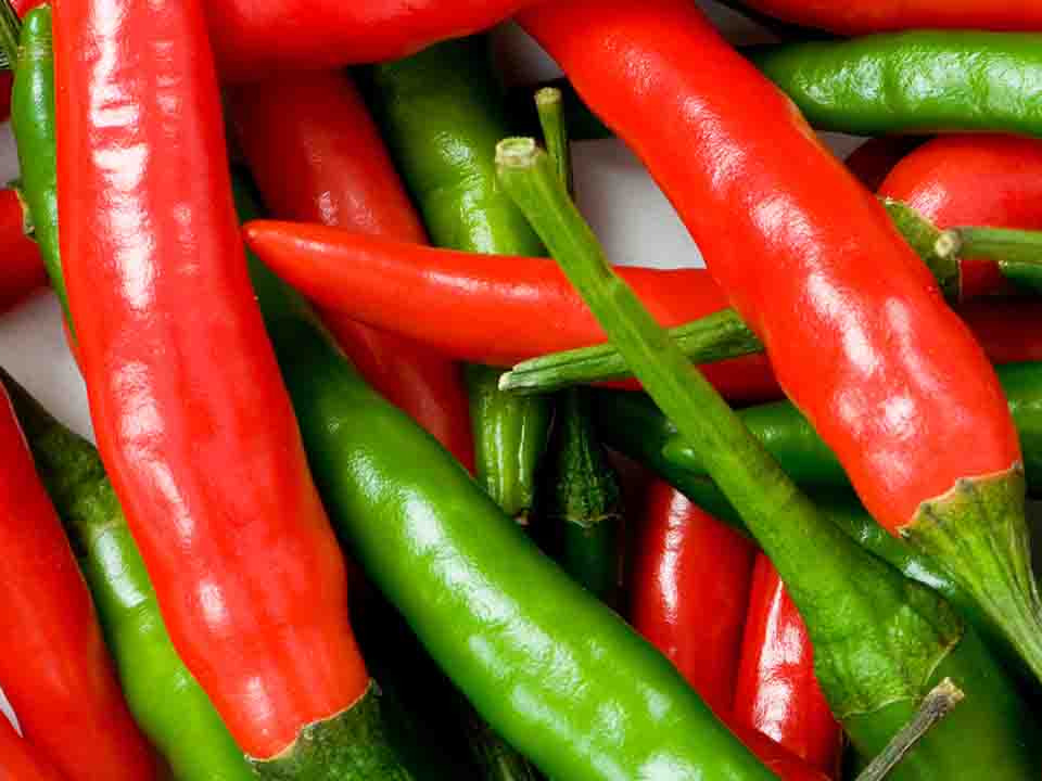 吃辣椒能减肥吗