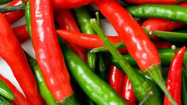 吃辣椒能减肥吗