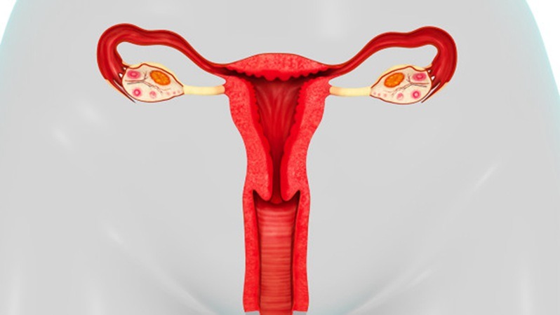 卵巢切除后怎么保养？做完卵巢手术容易便秘？
