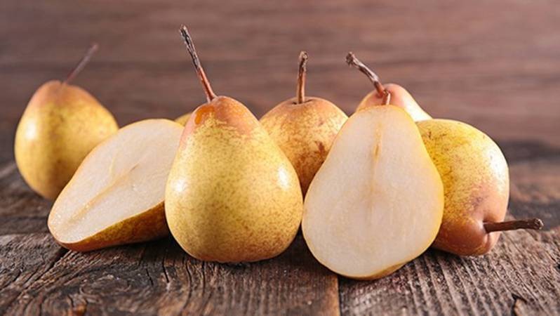 秋季养生小常识有哪些？ 秋燥多吃梨？