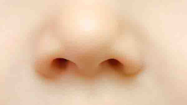 鼻头整形：鼻尖的美学标准是什么