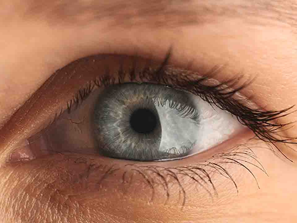 你的黑眼圈是什么颜色?